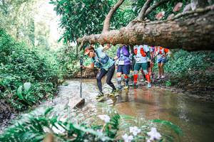 BIB: 
                            <button type="button" onclick="openModal(25515230)" class="btn btn-primary btn-sm float-right btn-popup" data-toggle="modal" data-target=".modal-high-quality">
                        <i class="fas fa-shopping-cart"></i> Add to Cart
                    </button>
                                            <button type="button" onclick="isThisMe(25515230, true)" class="btn btn-success btn-sm float-right btn-popup btn-isme hidden" data-toggle="tooltip" data-placement="bottom" title="นี่คือรูปของคุณใช่ไหม คลิกที่นี่เพื่อเอาเข้าอัลบั้ม">
                        <i class="fas fa-plus"></i> Add to album
                    </button>
                    <button type="button" onclick="isThisMe(25515230, false)" class="btn btn-warning btn-sm float-right btn-popup btn-isnotme hidden">
                        <i class="fas fa-ban"></i> Remove from album
                    </button>